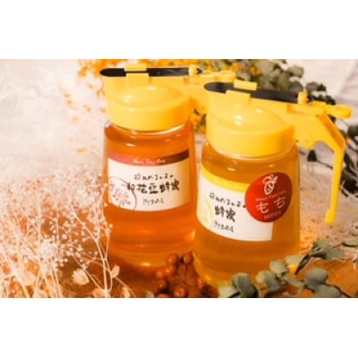 【国産蜂蜜】450gパッカー容器2本セット(くろがねもち蜂蜜、白花豆蜂蜜)