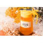 【国産蜂蜜】とちはちみつ　450g　パッカー容器