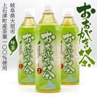 おおがき茶　(500ml×24本)