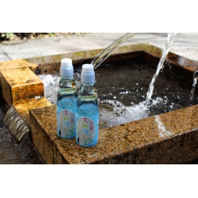 大垣ラムネ(200ml×24本)　自噴水を使用