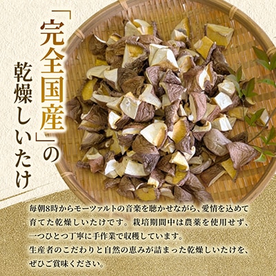 【訳あり】希少な国産乾燥しいたけ ダイス型 計100g(20g×5袋)