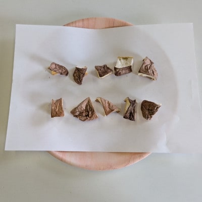 【訳あり】希少な国産乾燥しいたけ ダイス型 計100g(20g×5袋)