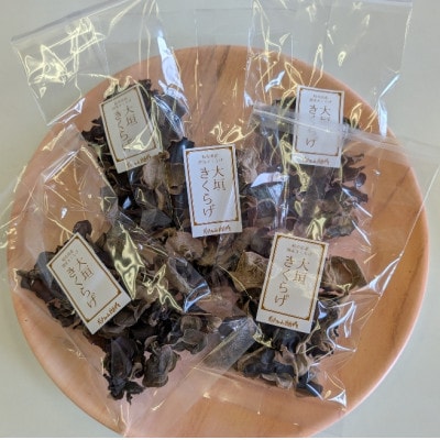 【訳あり】希少な国産乾燥きくらげ 100g(20g×5袋)