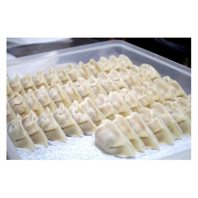 生餃子専門店「新家」の生餃子　創作ぎょうざ5種類食べくらべセット