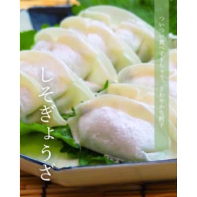 生ぎょうざ専門店「新家」の餃子 2種セット 計70個(生餃子40個 /しそ餃子30個)