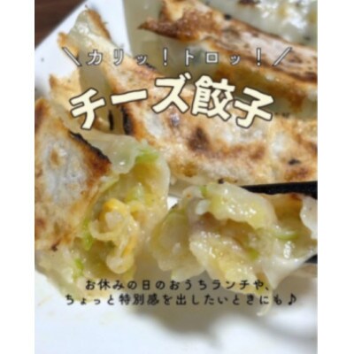 生ぎょうざ専門店「新家」 生餃子 4種 食べ比べセット 計65個