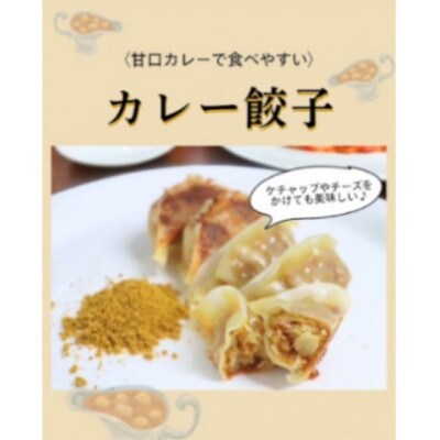 生ぎょうざ専門店「新家」 生餃子 4種 食べ比べセット 計65個