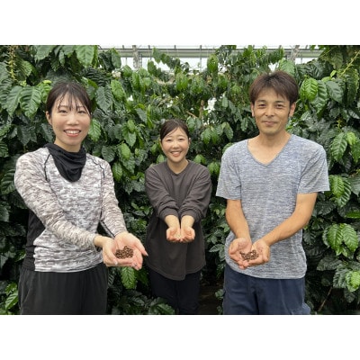 【岐阜コーヒー農園】岐阜県産コーヒー 10g×2袋 ドリップバッグ