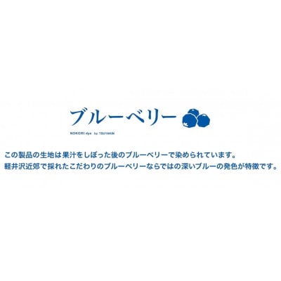 【中日ドラゴンズとのコラボアイテム】のこり染×ドアラミニタオル ブルーベリー