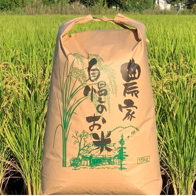 【令和7年産 新米】れんげハツシモ玄米 15kg