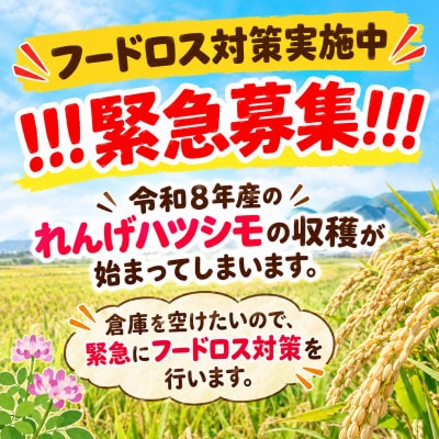 【令和7年産】れんげハツシモ玄米 15kg[フードロス対策実施中]