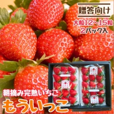 山元いちご農園 朝採り完熟いちご もういっこ大粒24～30粒(12～15粒&times;2パック)