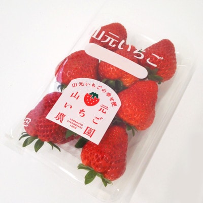 山元いちご農園 朝採りいちご 品種おまかせ 1.0kg(250g×4パック)