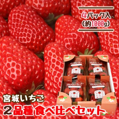 山元いちご農園 宮城いちご 2品種食べ比べセット 4パック