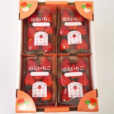山元いちご農園 4品種食べ比べセット 4パック