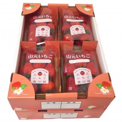 宮城いちご 2品種食べ比べセット 8パック