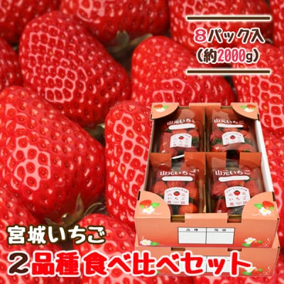 山元いちご農園 宮城いちご 2品種食べ比べセット 8パック