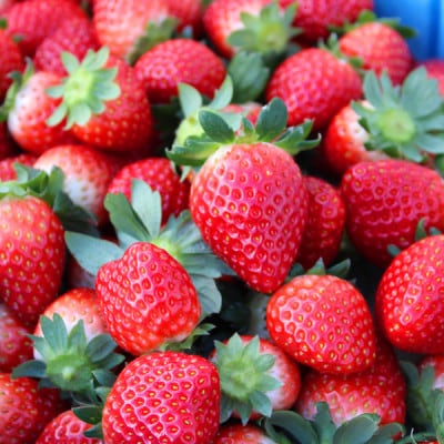 宮城いちご 2品種食べ比べセット 8パック