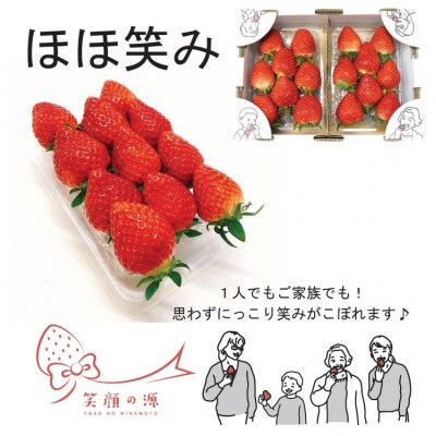 宮城県山元町産いちご　笑顔の源　ほほ笑み(280g×2パック)