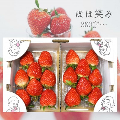 宮城県山元町産いちご　笑顔の源　ほほ笑み(280g×2パック)