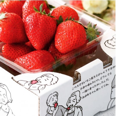 宮城県山元町産いちご　笑顔の源　ほほ笑み(280g×2パック)