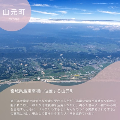 【返礼品なし】山元町への応援寄付 一口1,000円