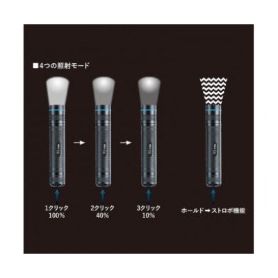 ワルサープロPL60