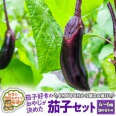 田舎の頑固おやじが厳選!茄子好きのおやじが決めたナスセット