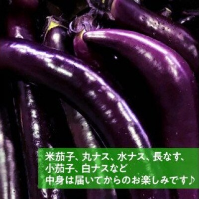 田舎の頑固おやじが厳選!茄子好きのおやじが決めたナスセット