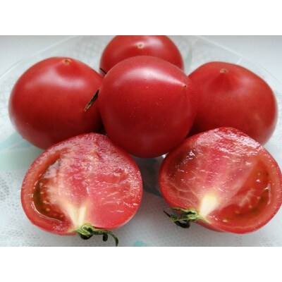 【厳選】この時期にしかない茨城のフルーツトマト　約1kg