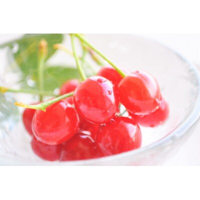 扇雀飴本舗 贅沢なグミ 山形のさくらんぼ 34g 6個セット