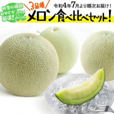 田舎の頑固おやじが厳選!メロン食べ比べセット