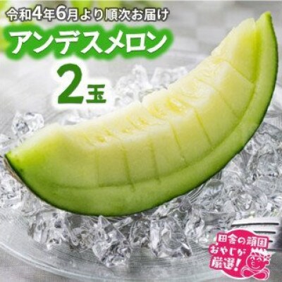 田舎の頑固おやじが厳選!アンデスメロン2個入セット