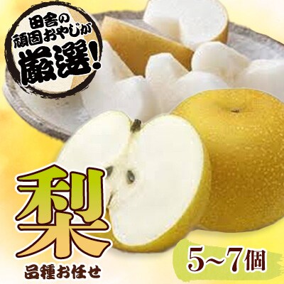 梨5～7個【令和6年8月末より順次お届け】田舎の頑固おやじが厳選!
