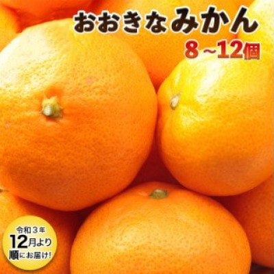 頑固おやじが厳選!おおきなみかん8～12個