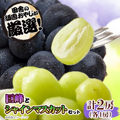 田舎の頑固おやじが厳選!巨峰1房とシャインマスカット1房セット