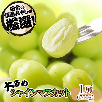 大きめシャインマスカット1房700g　【令和6年8月中旬から順次お届け】　田舎の頑固おやじが厳選!
