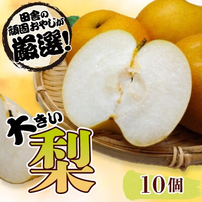 大きい梨10個【令和6年8月上旬より順次発送】田舎の頑固おやじが厳選!