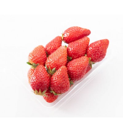 とちおとめ　大粒250g(8～12粒)×4pc  県内共通返礼品