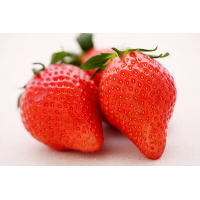 やよいひめ　大粒250g(8～12粒)×4pc 県内共通返礼品