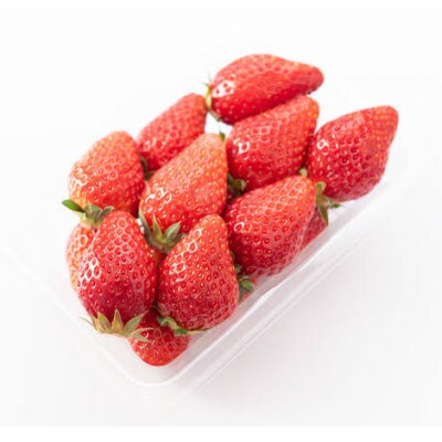 お歳暮のし付き　とちおとめ　大粒　250g(8～12粒)×4pc  県内共通返礼品