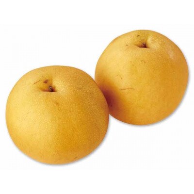 にっこり　10kg(20～24個)　県内共通返礼品