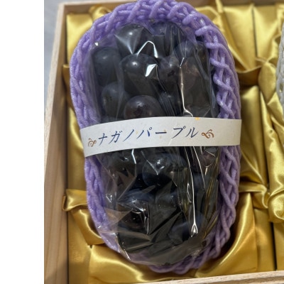 桐箱　ナガノパープル　1房　県内共通返礼品:結城市