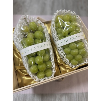 【熨斗付き】お中元　桐箱　シャインマスカット　2房　県内共通返礼品:結城市