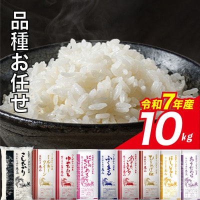 品種おまかせ 10kg 令和7年産 精米  茨城県つくばみらい市産