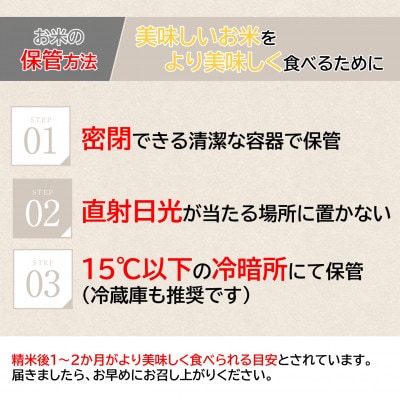 【 令和8年産 新米 】 コシヒカリ 20kg 精米 茨城県つくばみらい市産