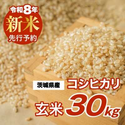 【 令和8年産 新米 】 コシヒカリ 30kg 玄米 茨城県つくばみらい市産