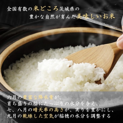 【 令和8年産 新米 】 コシヒカリ 30kg 玄米 茨城県つくばみらい市産