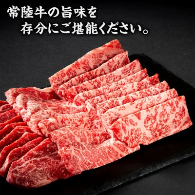 【常陸牛】赤身(焼き肉用)500g 茨城県共通返礼品
