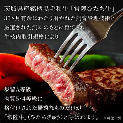 【常陸牛】赤身もも(ステーキ用) 計500g(100g×5枚) 茨城県共通返礼品